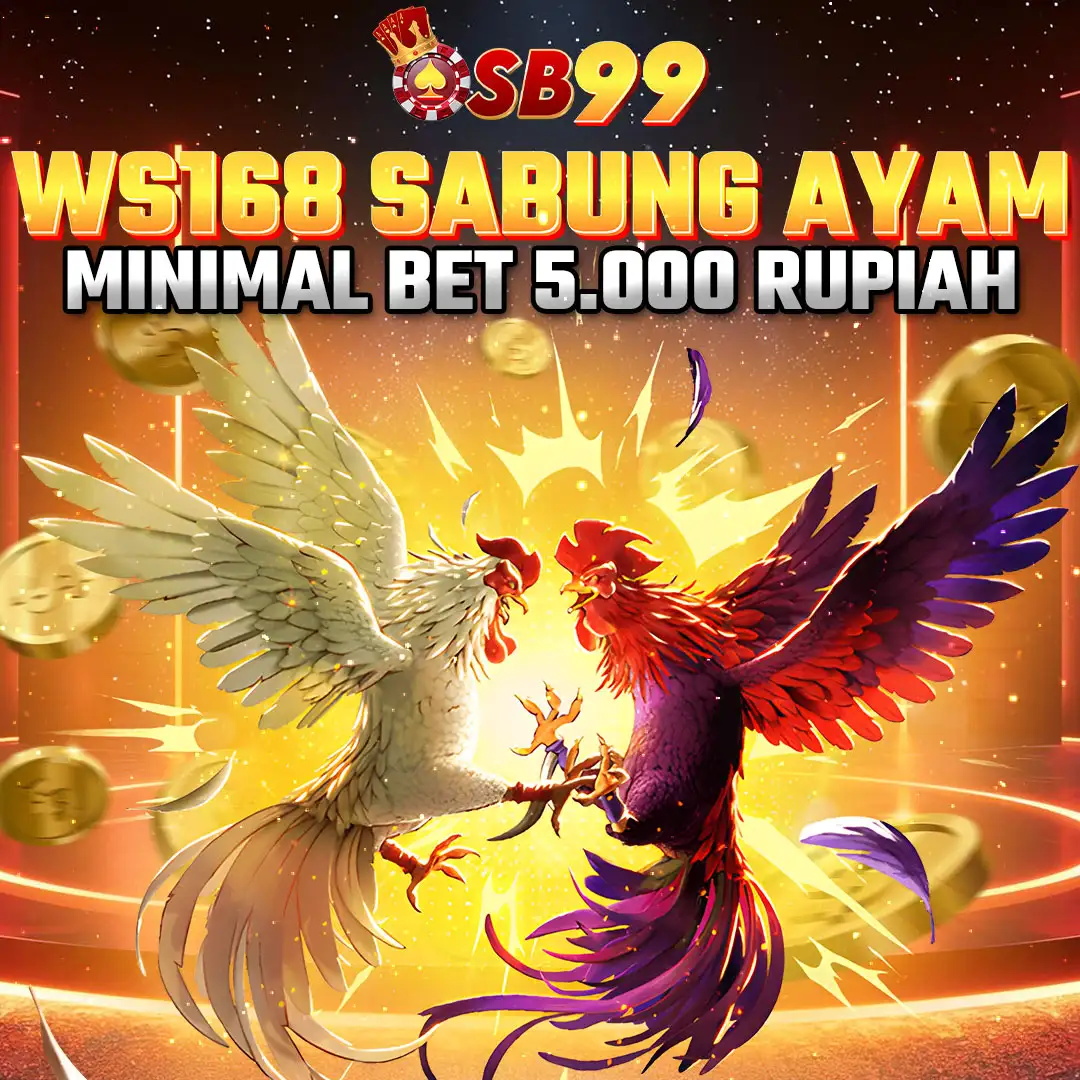 OSB99 Sabung Ayam